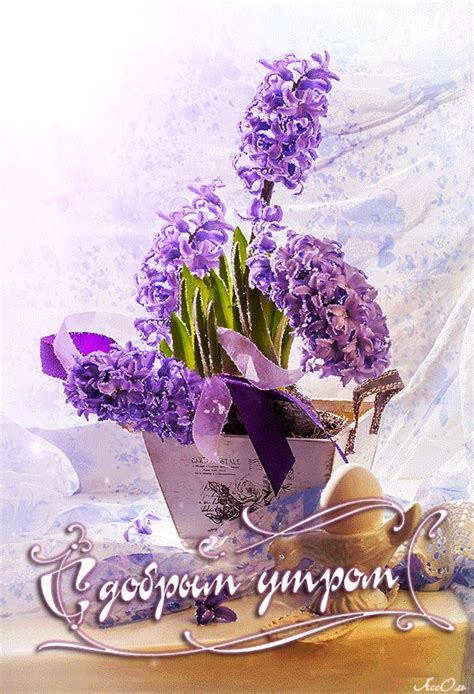 ЯндексФотки переехали Good Morning Greeting Cards Good Morning