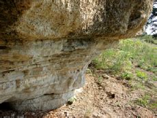 Florissant Fossil Beds National Monument