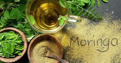 5 Benefícios da moringa para a saúde