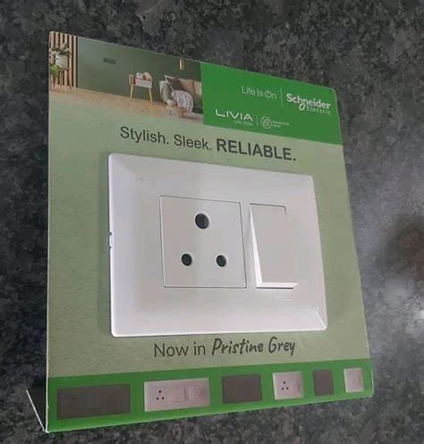 6a Schneider Livia Modular Switch Socket Combination Polycarbonate At Rs 430 In Vadodara