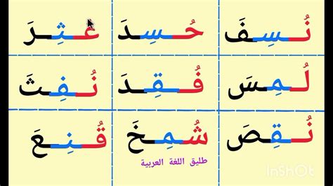 تعلم القراءة والكتابة كلمات ثلاثية مع الحركات القصيرة فتحة كسرة ضمة