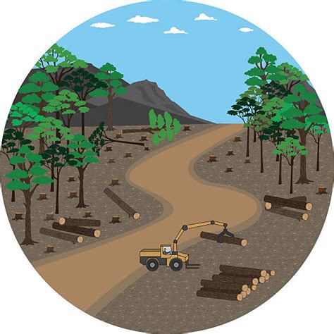 Deforestation Clip Art, Vector Images & Illustrations - iStock