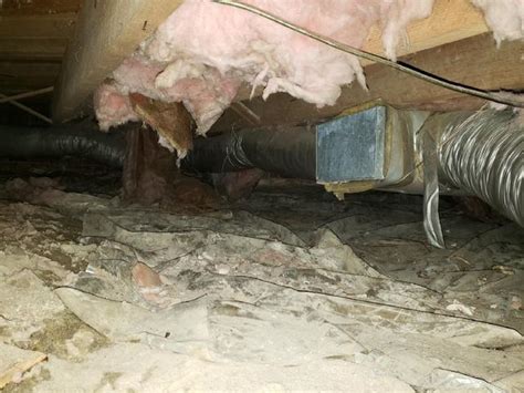 The Drying Co Crawl Space Repair Photo Album Impacts Of Moisture On A Cardinal Va Crawl Space