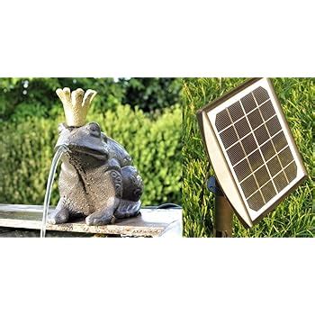 Powershop Wasserspeier Frosch Cm Dk Gr N Mit Solarpumpe Solaris