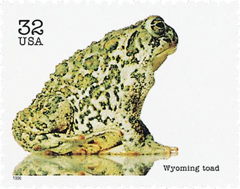 3105g - 1996 32c Endangered Species: Wyoming Toad - Mystic Stamp Company