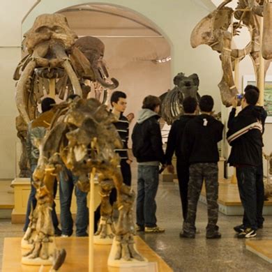 MUSEO DI STORIA NATURALE GEOLOGIA E PALEONTOLOGIA FIRENZE