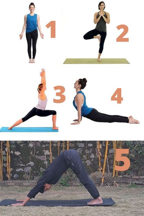 5 easy yoga poses for beginners | Best easy yoga Poses for beginners | Easy yoga, Cool yoga ...