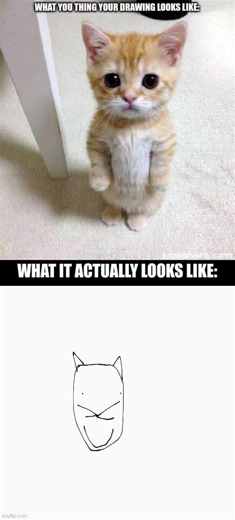 Cute Cat Memes - Imgflip