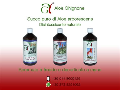 Aloe Arborescens Ricetta Di Padre Romano Zago Aloe Arborescens Ghignone