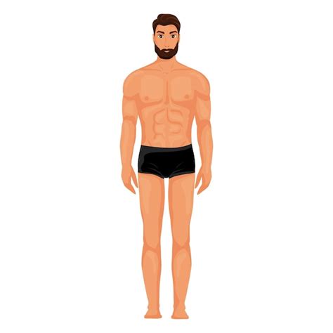 Homem Nu Corpo Altura Total Vista Frontal Vetor Ilustra O Estilo De