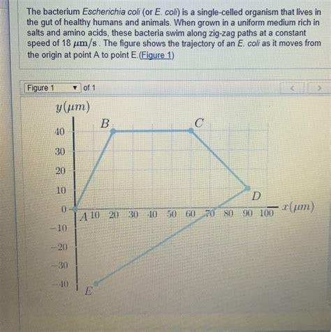 Solved The bacterium Escherichia coli (or E. coll) is a | Chegg.com 