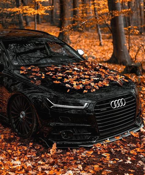 DARK Audi RS6 Autumn shoot. Audi rs6, Dream cars, Audi, Custom Audi HD ...