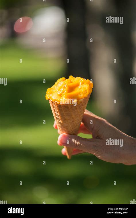 Woman S Hands Holding Melting Ice Cream Waffle Cone In Hands On Summer