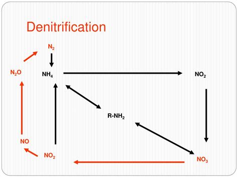 PPT - Soil Microbiology PowerPoint Presentation, free download - ID:966927