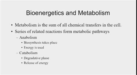 Lecture 9 Bioenergetics Flashcards Quizlet