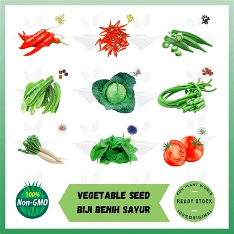 Vegetable Fruits Seed Biji Benih Buah Buahan Sayur Shopee Malaysia