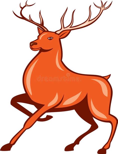 Stag Deer Head Roaring Stock Illustration Illustration Of Stag 11162416