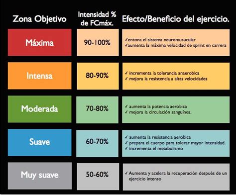 Consultorio Fisioterapia Rehabilitación Frecuencia Cardiaca Durante El Ejercicio