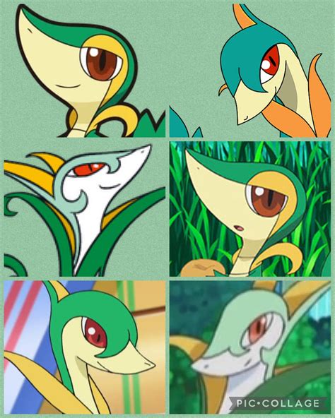 Snivy, Servine and Serperior (Collage) by VanessaThePanther on DeviantArt