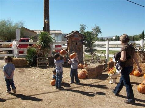 Mckee Ranch Foundation Las Vegas Nv