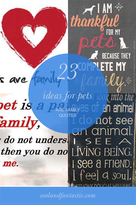 23 Ideas for Pets are Family Quotes - Home, Family, Style and Art Ideas