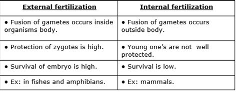 Differentiate between: External fertilization and internal fertilization