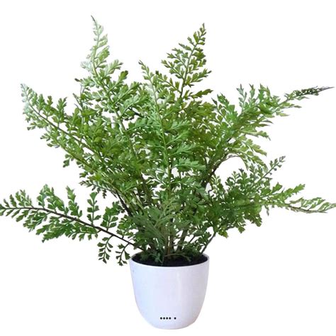 Fougère Athyrium artificielle en pot plastique H 37 cm top produit du