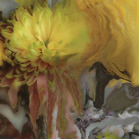 Parker Millsap – Wilderness Within You | Echoes And Dust