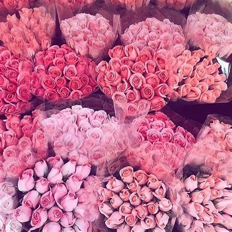 Aranui On Instagram Flowers Pink Aesthetic Beautiful Flowers