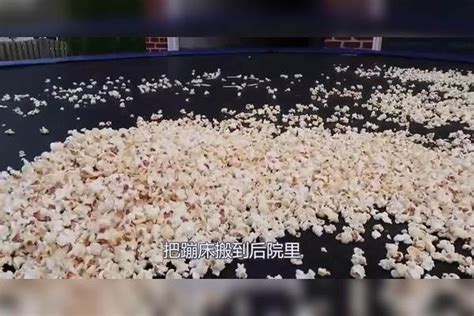 熊孩子把10万个爆米花铺在蹦床上双脚一蹦达到人生巅峰 蹦床 双脚 熊孩子