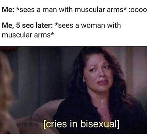 31 Memes Thatll Make Bisexual People Feel Seen