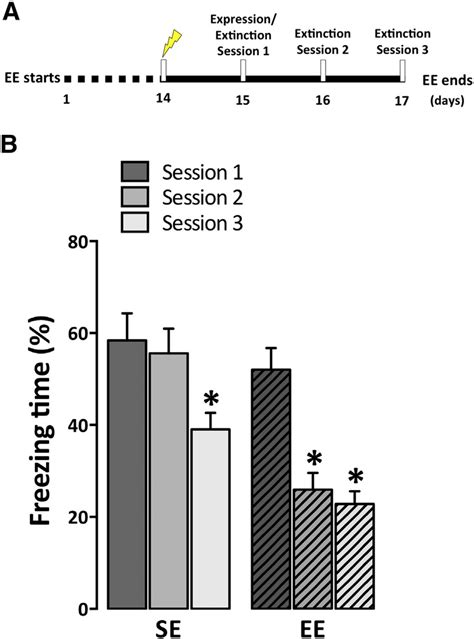 Effects Of Enriched Environment In The Fear Extinction Facilitation