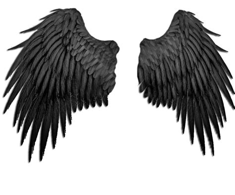 Exquisite Black Angel Wings Artwork