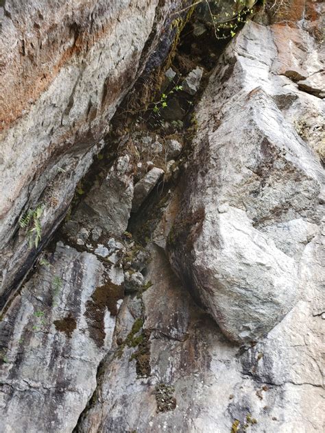 My very own Pensieve.: Machu Picchu Inca Bridge hike