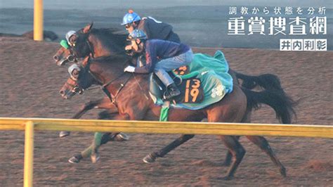 【函館2歳s 2024】最終追い切りを動画で解説井内利彰 競馬動画 Netkeiba