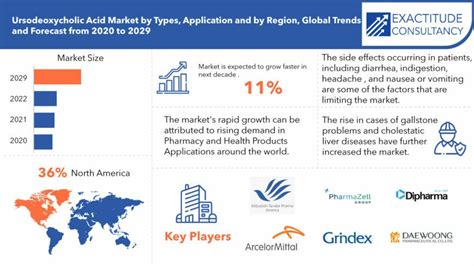 Ursodeoxycholic Acid Market Status And Trend Report