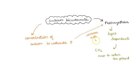 Solved Q29 Examine The Formula For Sodium Bicarbonate What Ingredient Essential For