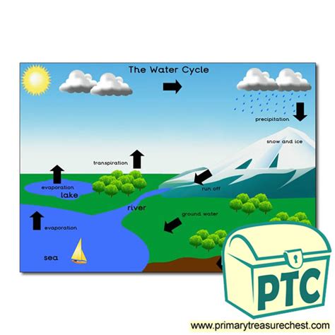 Printable Water Cycle Poster