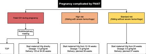 Flowchart Antenatal Treatment Fnait Fetal And Neonatal Alloimmune