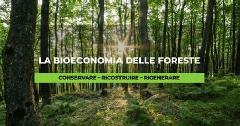 Rapporto Foreste 2021 11 Milioni Di Ha Da Salvaguardare