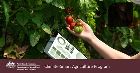 Climate Smart Agriculture Program Victoria Drought Resilience