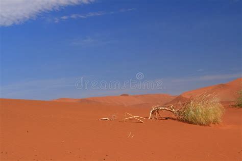 Namibian Desert Landscape Sossusvlei Namib Naukluft National Park ...