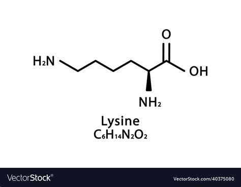 Lysine Molecular Structure Skeletal Royalty Free Vector