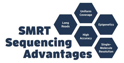 SMRT Sequencing PacBio Highly Accurate Long Read Sequencing