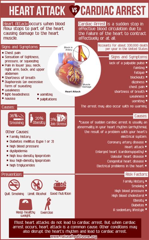 Heart Attack Vs Cardiac Arrest Do You Know The Difference Artofit