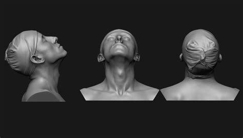 Neck Anatomy Reference Set 3D model 3D printable | CGTrader