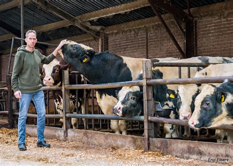 Peter Van Den Bosch Kiest Voor Kwaliteit Bij De Gebruikskruising CRV