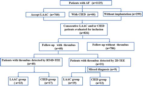 Transesophageal Echocardiography Follow Up Images After Laac Showing Download Scientific