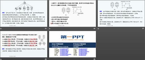 《微专题三 减数分裂中染色体、dna等数目的变化规律及细胞图像识别》基因和染色体的关系ppt 人教版高中生物必修二 Ppt模板免费下载