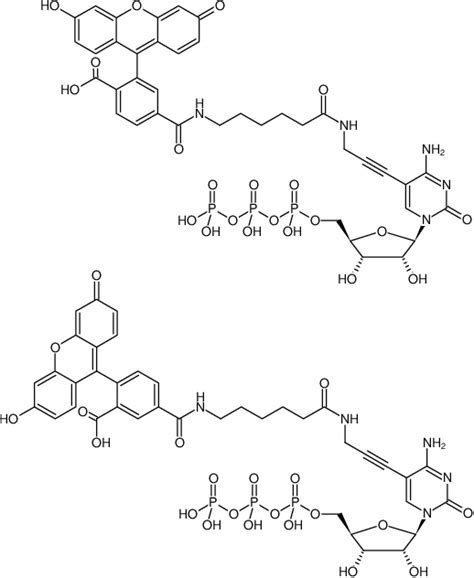 Fluorescein 12 Ctp 5 Propargylamino Ctp Jena Bioscience